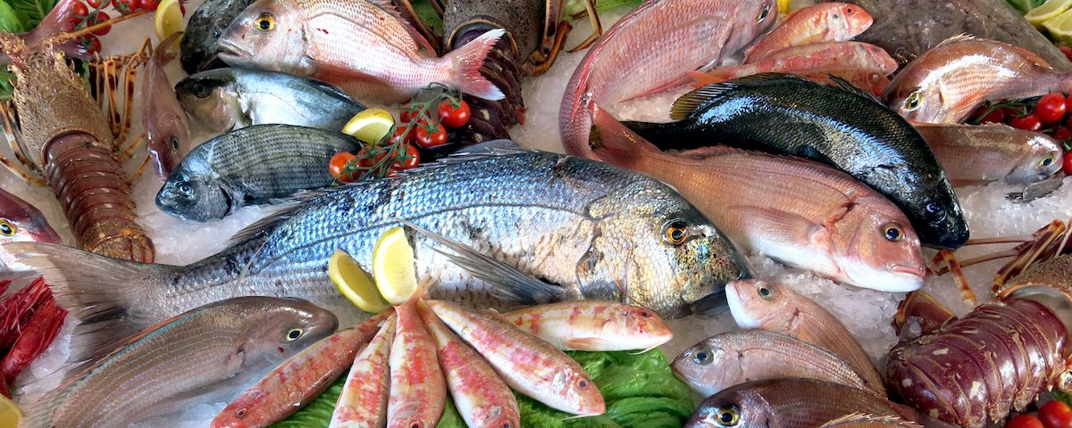 pesce fresco